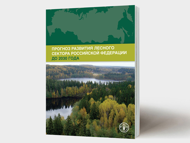 Project Of Lesprominform Russian Timber 67